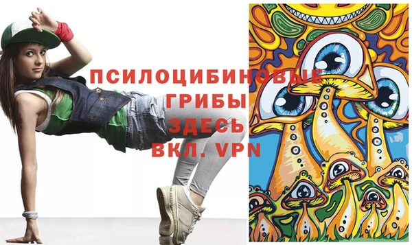 spice Инта