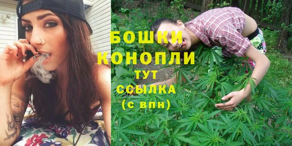 PSILOCYBIN Инсар