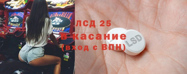 spice Инта