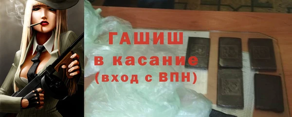 spice Инта