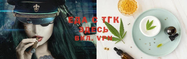 spice Инта
