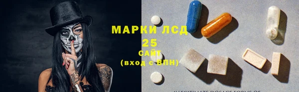 spice Инта