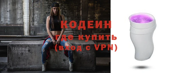 spice Инта