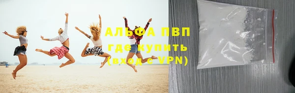 spice Инта