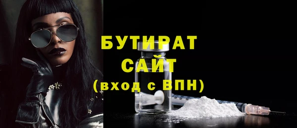 spice Инта