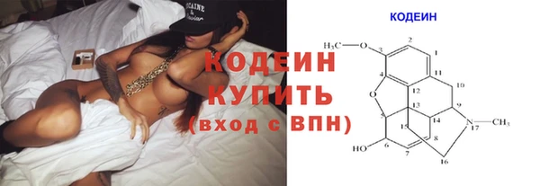 spice Инта