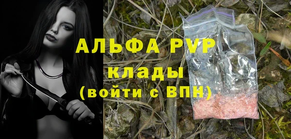 spice Инта