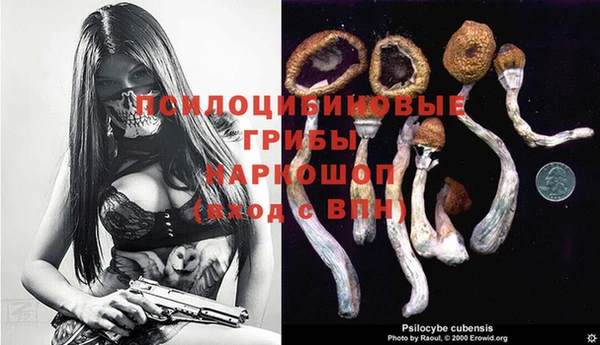 spice Инта