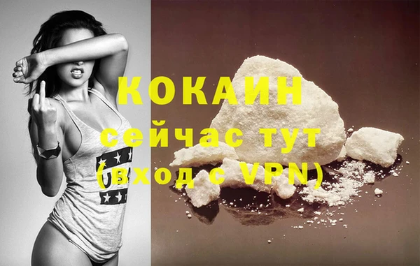 spice Инта