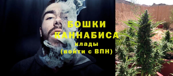PSILOCYBIN Инсар
