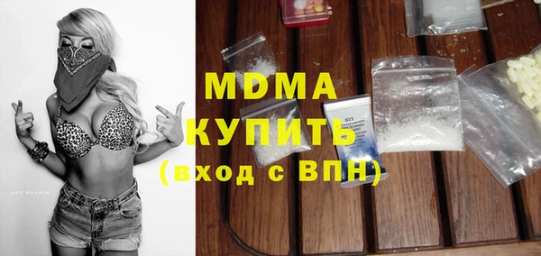 spice Инта