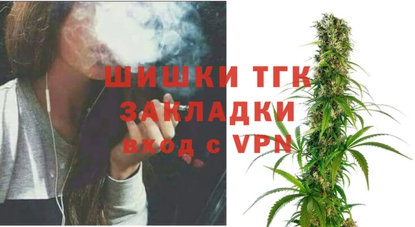PSILOCYBIN Инсар
